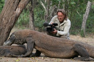 Kieling Komodowaran 6_klein