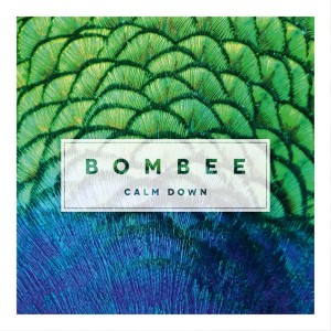 BB_Cover_CalmDown_2015_RZ