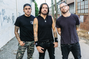 PRONG-NOABSOLUTES-1