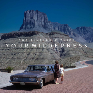 Your_Wilderness_cover